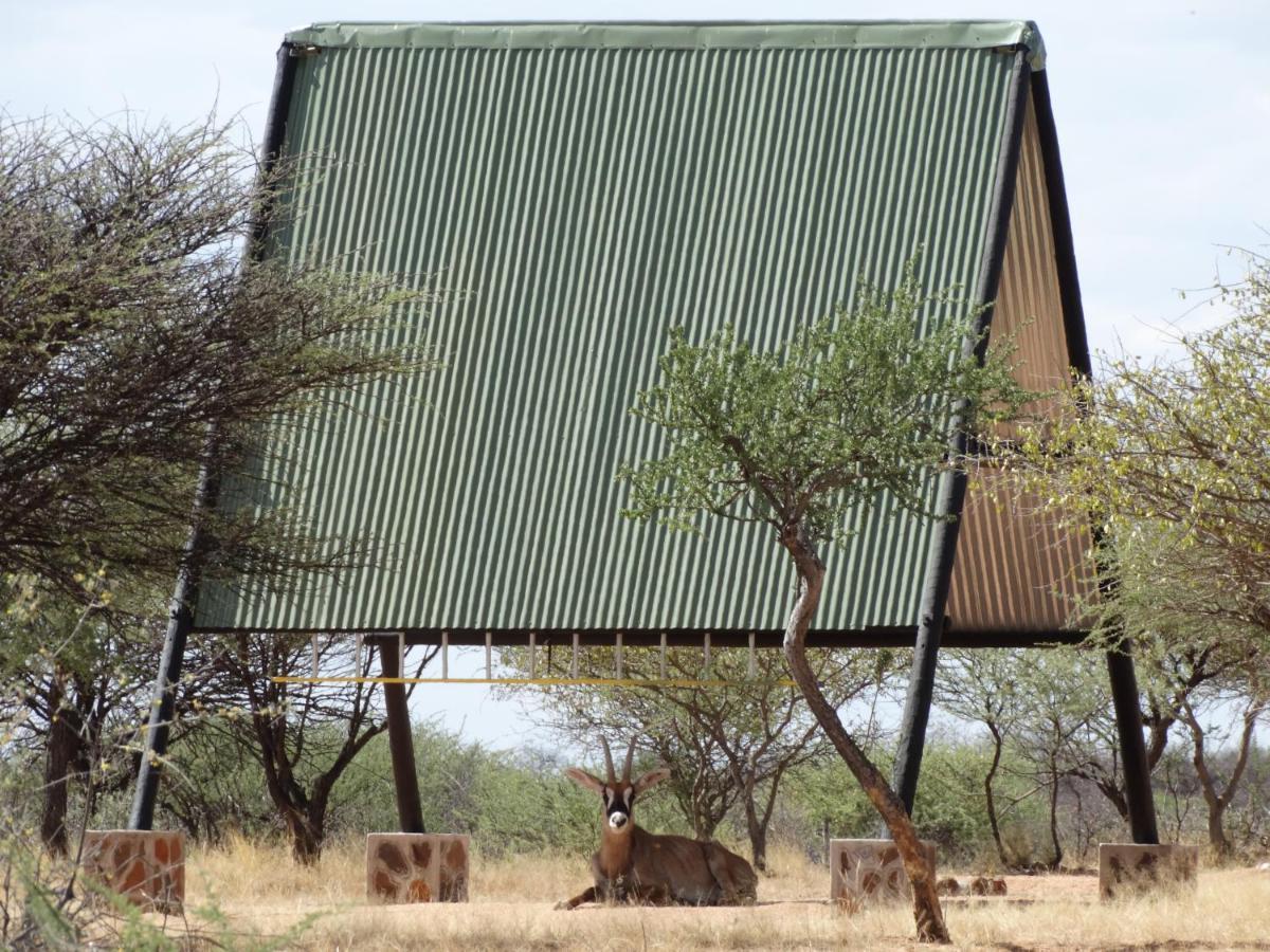 Ovita Wildlife Restcamp Okazize Eksteriør billede